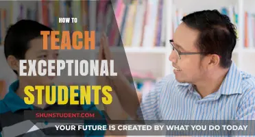 Empowering Exceptional Learners: Strategies for Teaching Gifted Students Effectively