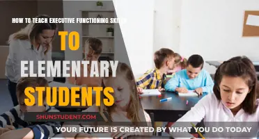 Empowering Young Minds: Teaching Executive Functioning Skills in Elementary School