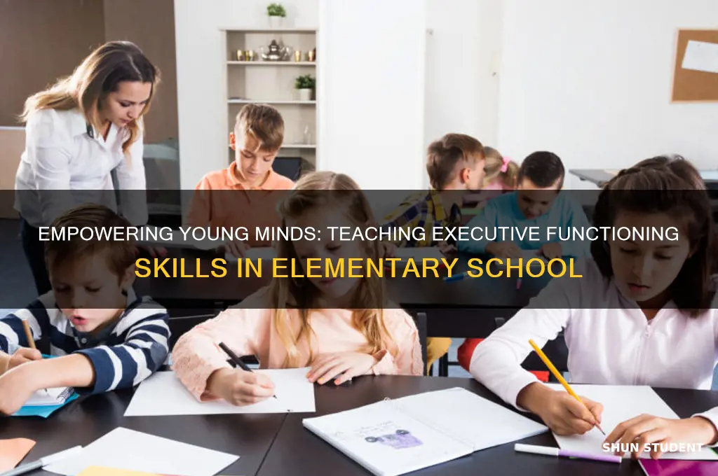 how to teach executive functioning skills to elementary students
