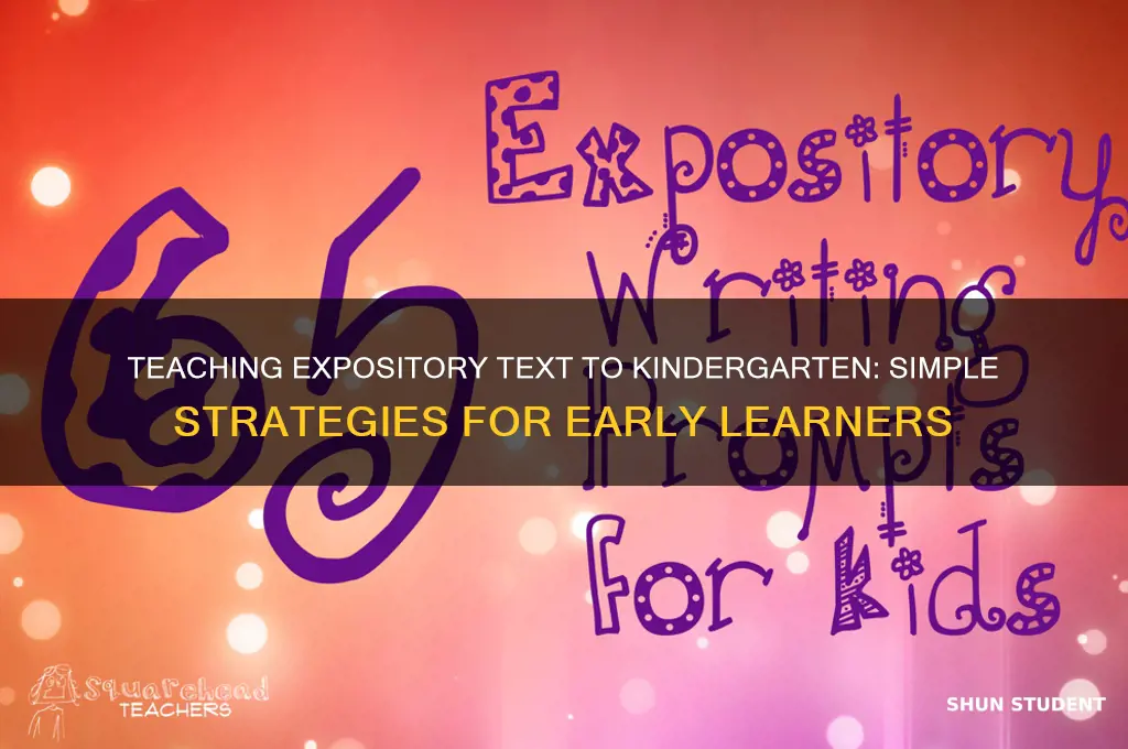 how to teach expository text to kindergarten students