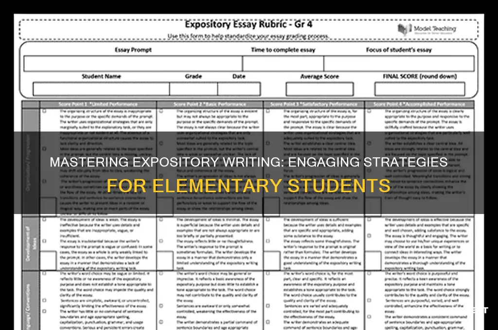how to teach expository writing to elementary students