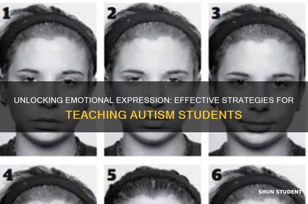 how to teach expression to student with autism