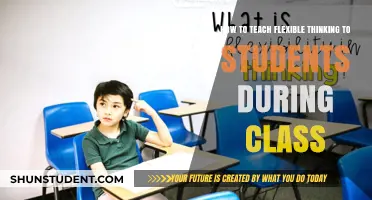 Fostering Adaptability: Strategies to Teach Flexible Thinking in the Classroom