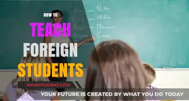 Effective Strategies for Teaching Foreign Students in Diverse Classrooms