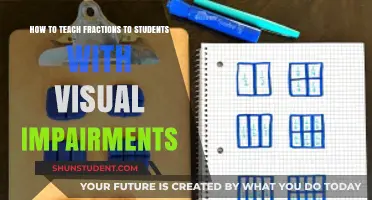Tactile Strategies for Teaching Fractions to Visually Impaired Students