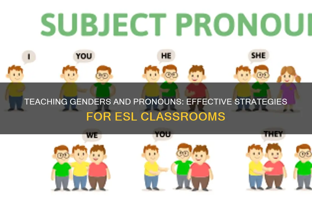 how to teach genders and pronouns to esl students