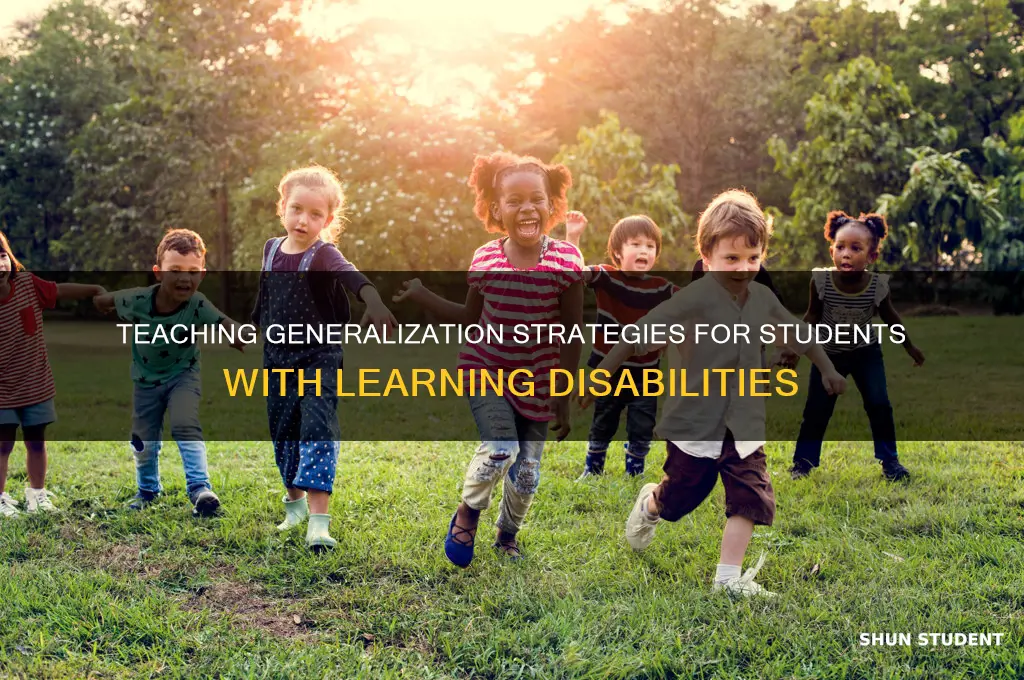 how to teach generalization to students with learning disabilities