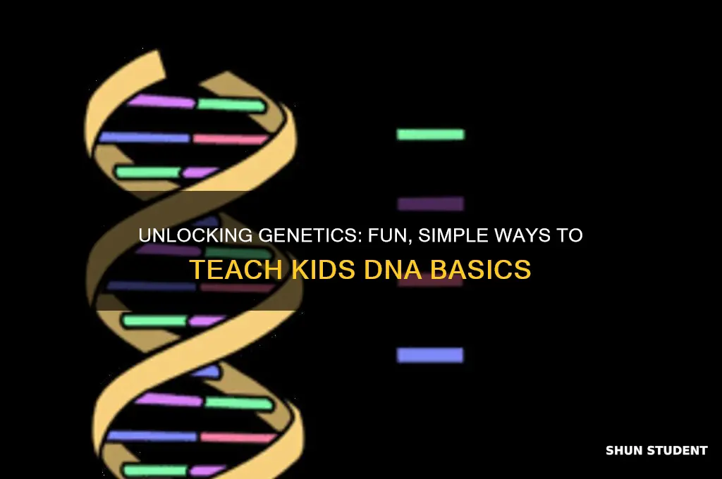 how to teach genetics to elementary students