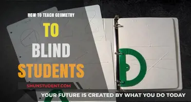 Tactile Geometry: Innovative Methods for Teaching Blind Students Shapes