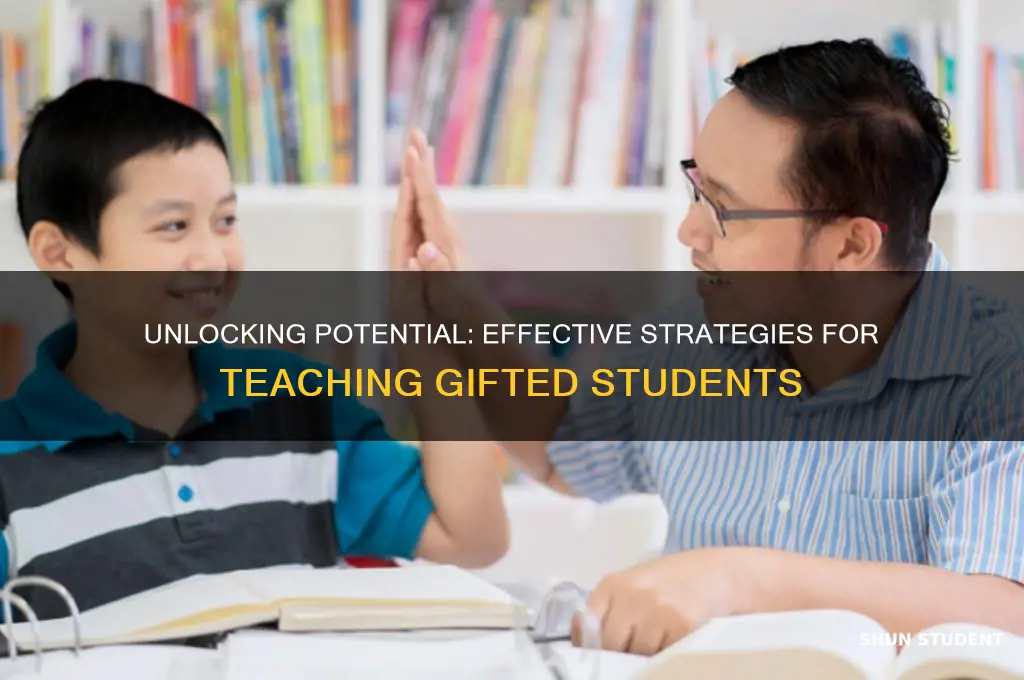 how to teach gifted students book
