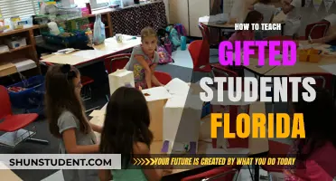 Unlocking Potential: Effective Strategies for Teaching Gifted Students in Florida