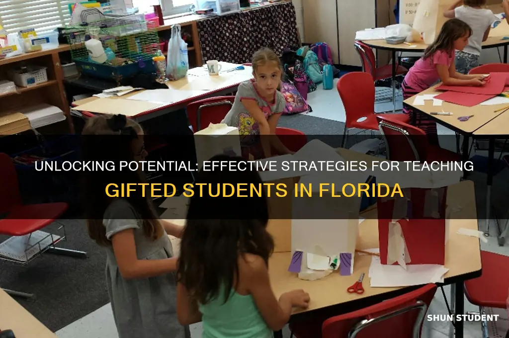 how to teach gifted students florida