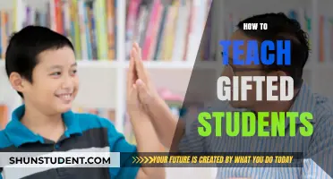 Unlocking Potential: Effective Strategies for Teaching Gifted Students