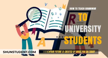 Teaching Grammar: Engaging University Students