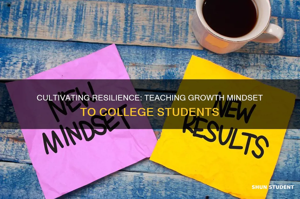 how to teach growth mindset to college students