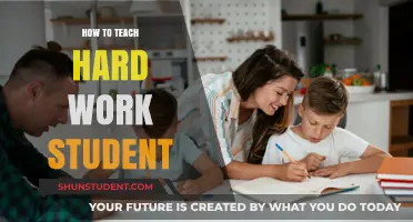 Effective Strategies for Teaching Hardworking Students to Excel Further