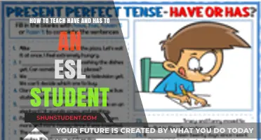 Mastering 'Have' and 'Has': Effective ESL Teaching Strategies for Beginners