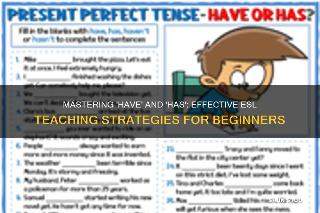 how to teach have and has to an esl student