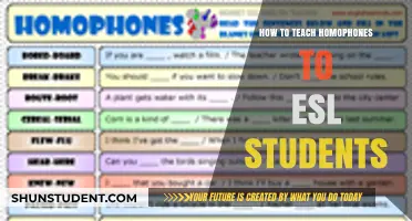 Mastering Homophones: Effective Strategies for Teaching ESL Students
