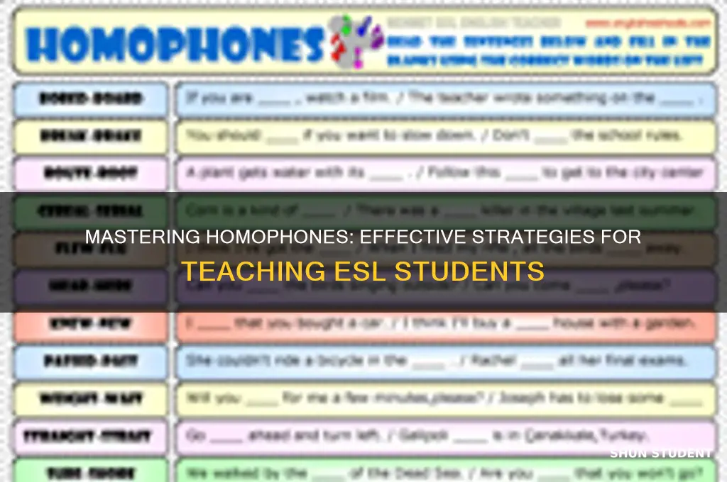 how to teach homophones to esl students
