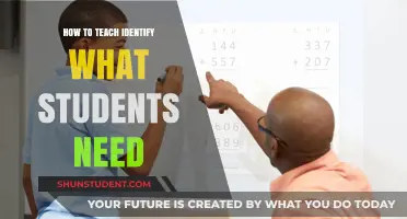 Understanding Student Needs: Strategies for Effective Teaching and Learning