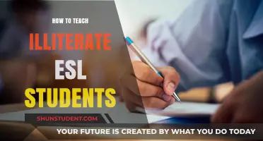 Empowering ESL Learners: Strategies for Teaching Illiterate Students Effectively