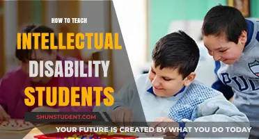 Empowering Minds: Effective Strategies for Teaching Intellectual Disability Students