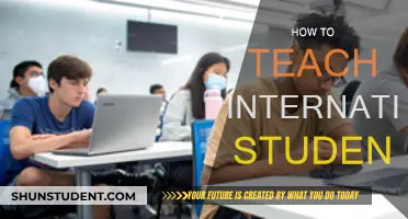 Teaching International Students: Strategies for Success