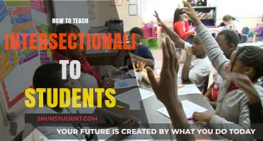 Empowering Minds: Teaching Intersectionality for Inclusive Student Understanding