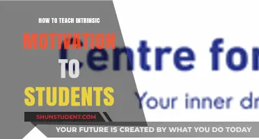 Fostering Intrinsic Motivation: Empowering Students to Learn and Thrive