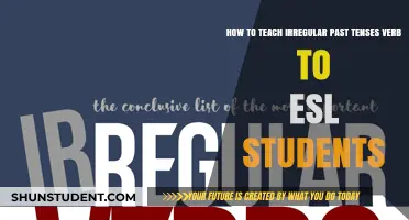 Mastering Irregular Past Tenses: Effective Strategies for ESL Teachers