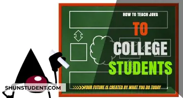Effective Strategies for Teaching Java to College Students