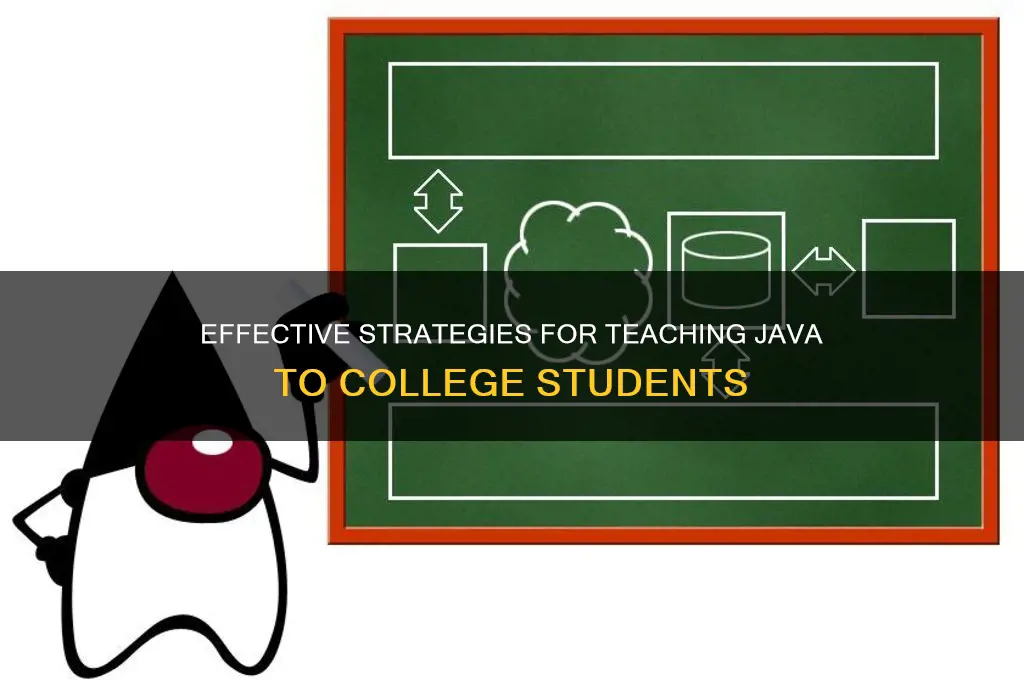 how to teach java to college students
