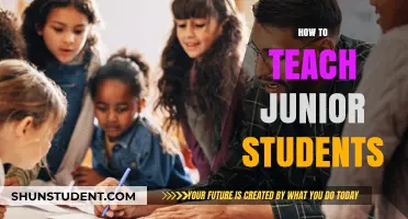 Effective Strategies for Teaching Junior Students: Engaging Young Minds