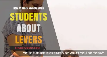 Simple Lever Lessons: Engaging Kindergarten Minds with Hands-On Learning