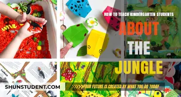 Exploring the Jungle: Fun and Engaging Lessons for Kindergarteners