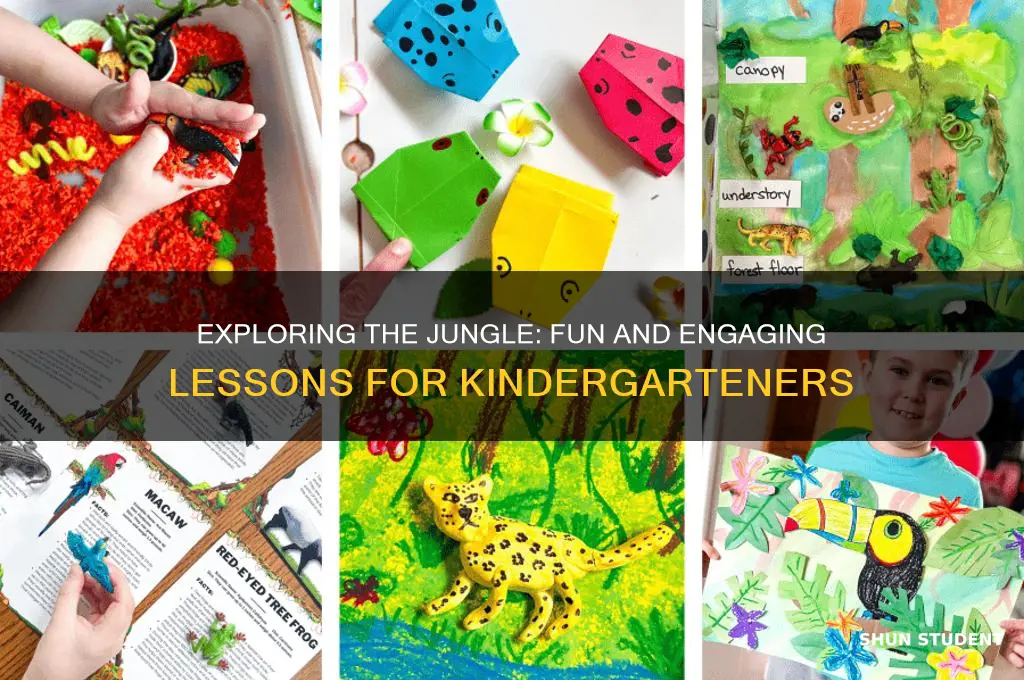 how to teach kindergarten students about the jungle