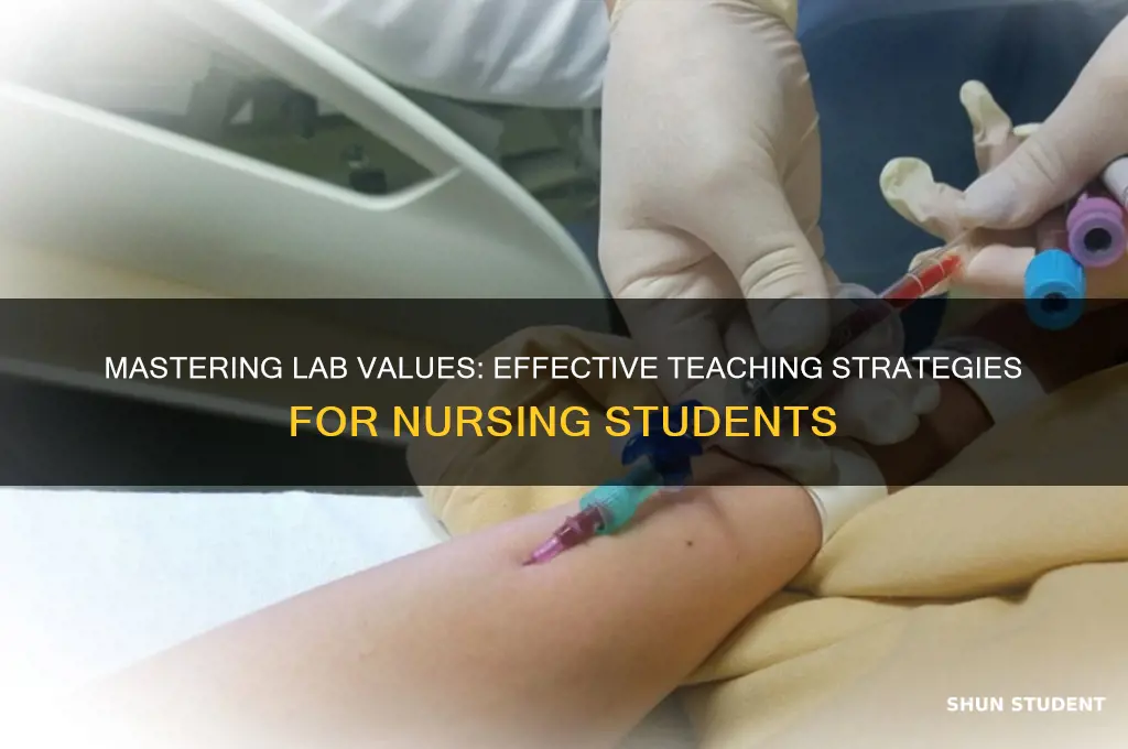how to teach lab values to nursing students