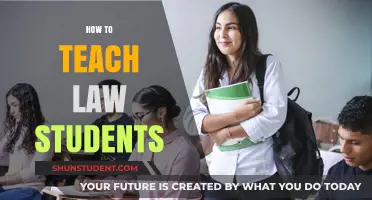 Effective Strategies for Engaging and Educating Future Legal Minds