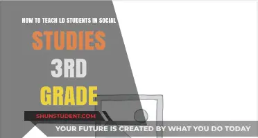 Effective Strategies for Teaching 3rd Grade Social Studies to LD Students