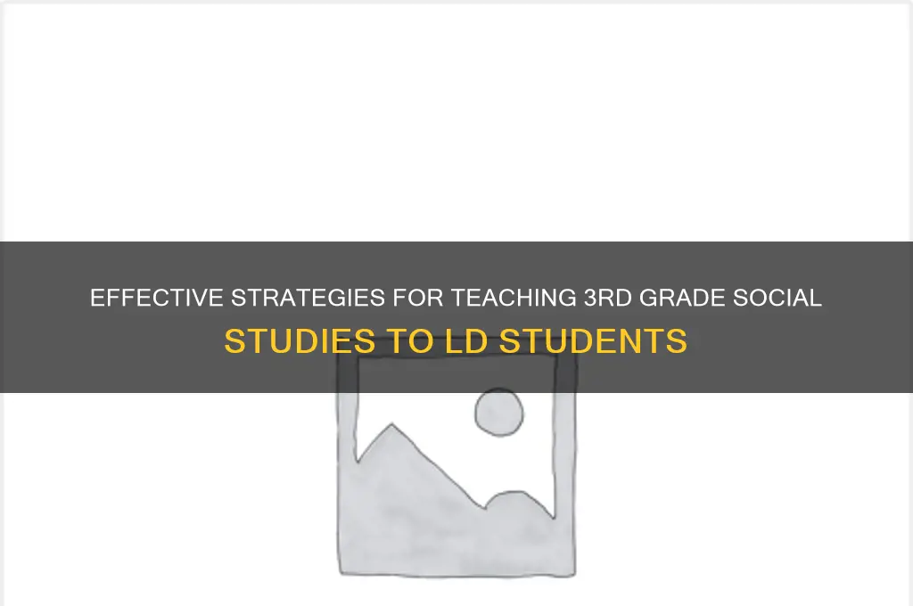 how to teach ld students in social studies 3rd grade