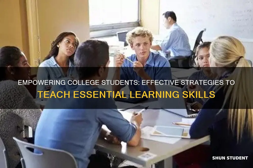 how to teach learning skills to college students