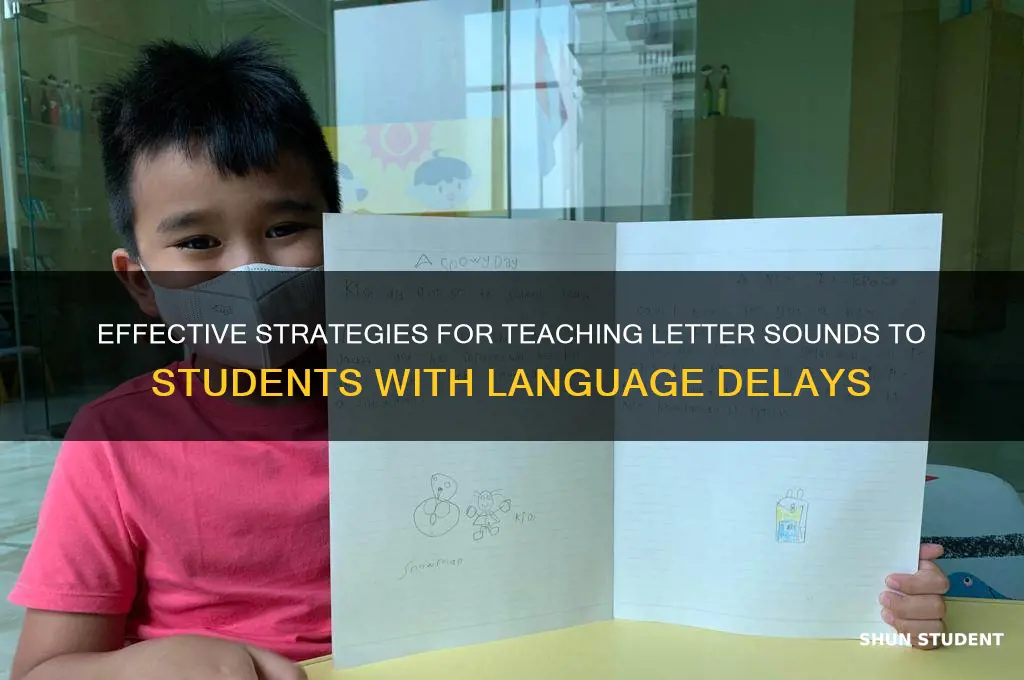 how to teach letter sounds to student with language delay