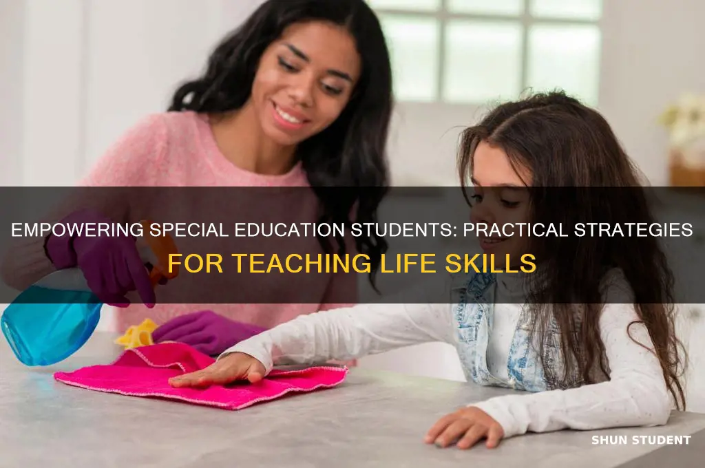 how to teach life skills to special education students