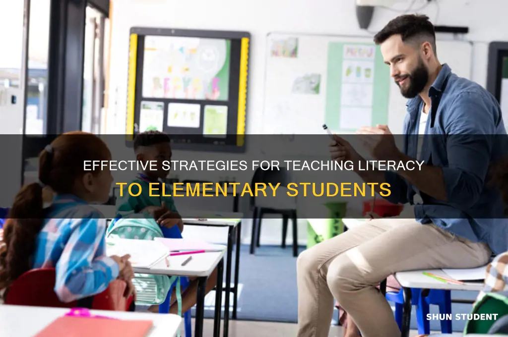 how to teach literacy to elementary students