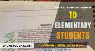 Unlocking Creativity: Teaching Literary Essay Writing to Elementary Students