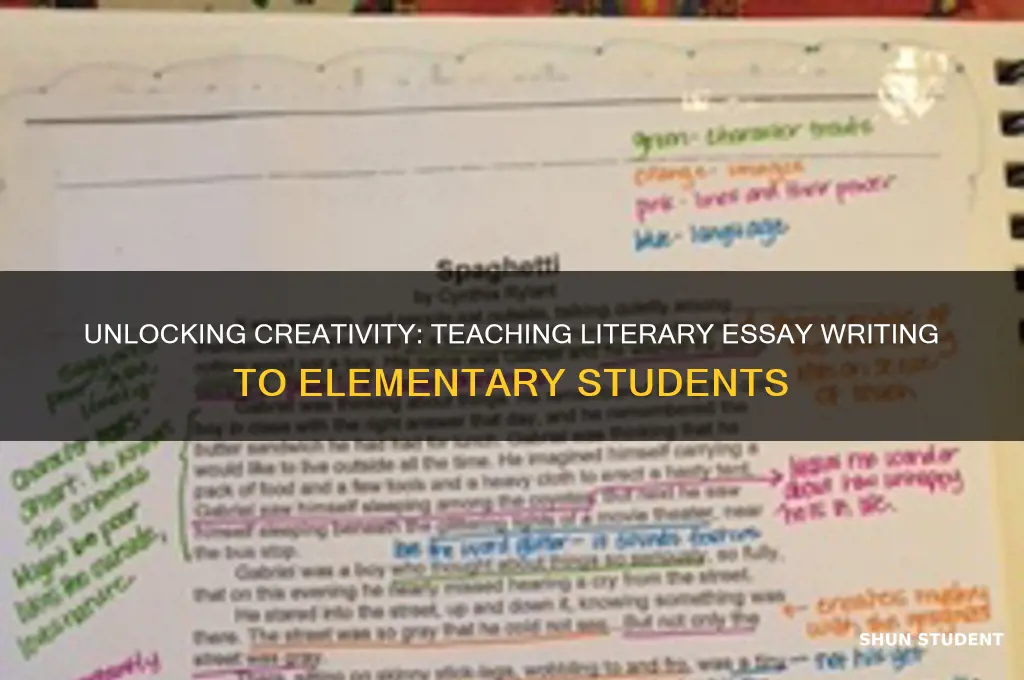 how to teach literary essay writing to elementary students