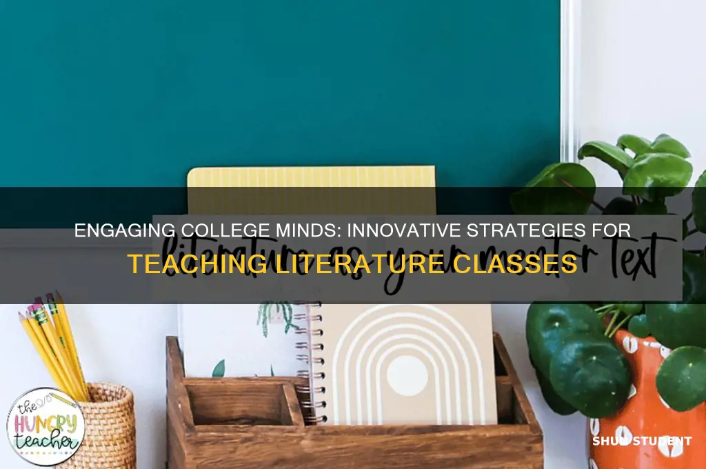 how to teach literature classes to college students