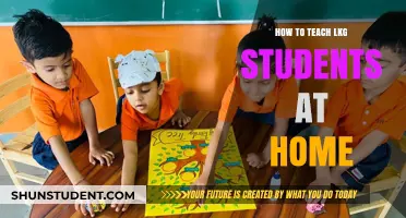 Effective Home Teaching Strategies for Engaging LKG Students