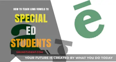 Effective Strategies for Teaching Long Vowels to Special Education Students